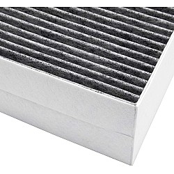 Alapure CleanAir Koolstoffilter geschikt voor Neff  00678460 / 11017314 / Z5170X1