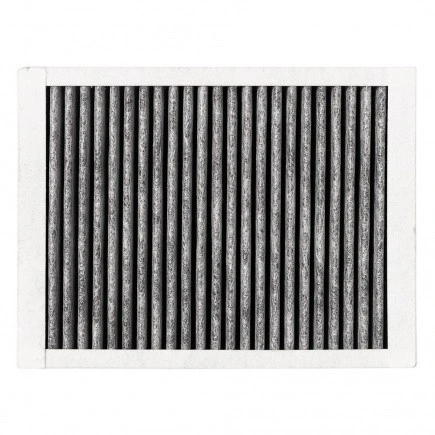 Alapure Geur En Fijnstoffilter geschikt voor Pelgrim HF3001