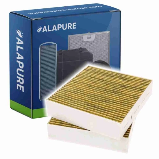Alapure Koolstoffilter geschikt voor Gaggenau 11058753 / 11028106 / AA410110 (2St.)