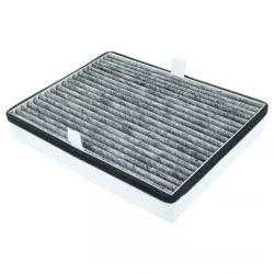 Alapure HFK3451 Geschikt voor Miele Koolstoffilter DKF36-P