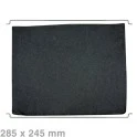 Alapure Longlife Koolstoffilter geschikt voor Zanussi Type 31 / F00439 / 9029793842
