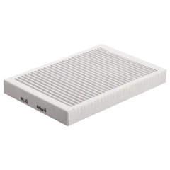Atag HF3004 Geur En Fijnstoffilter