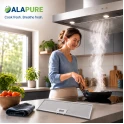 Alapure Metaalfilter geschikt voor Arthur Martin 4055380804 470x169x9mm