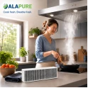 Alapure Koolstoffilter geschikt voor Gaggenau 17003002 / 792273 / AA413110 / AA413111