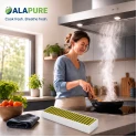 Alapure CleanAir Plus Koolstoffilter geschikt voor Gaggenau 17005381 / AA200100