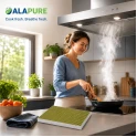 Alapure CleanAir Plus Koolstoffilter geschikt voor Bosch 11034226 / 17004035 / DIZ1JX1B6 (3 St.)