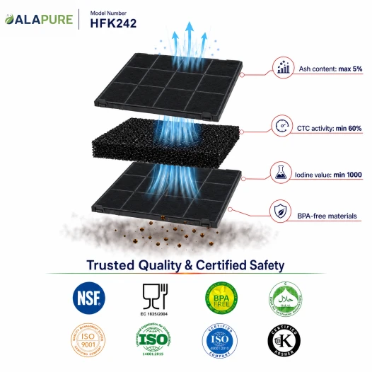 Alapure Koolstoffilter geschikt voor Indesit C00308181