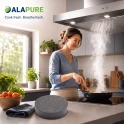 Alapure Koolstoffilter geschikt voor Mepamsa SMART / ECOLINE / 112.0564.564 (2St.)