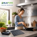 Alapure Koolstoffilter geschikt voor Smeg FLT4 / 690073210