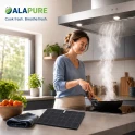 Alapure Koolstoffilter geschikt voor Whirlpool AMC058 / 482000008330